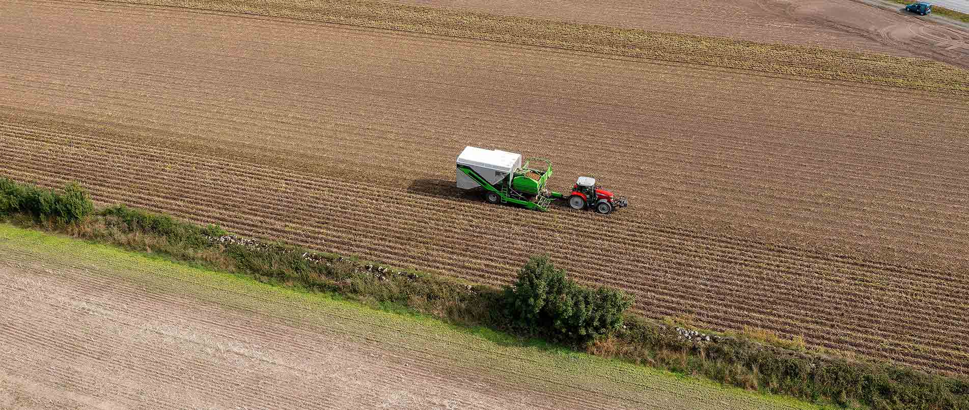 “探、收、烘、运”，看j9官网如何四管齐下一站式保障秋收果实