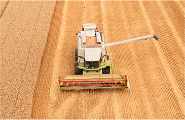 收——加大收割自动化力度，利用智能收获系统，保种保收，提产提质