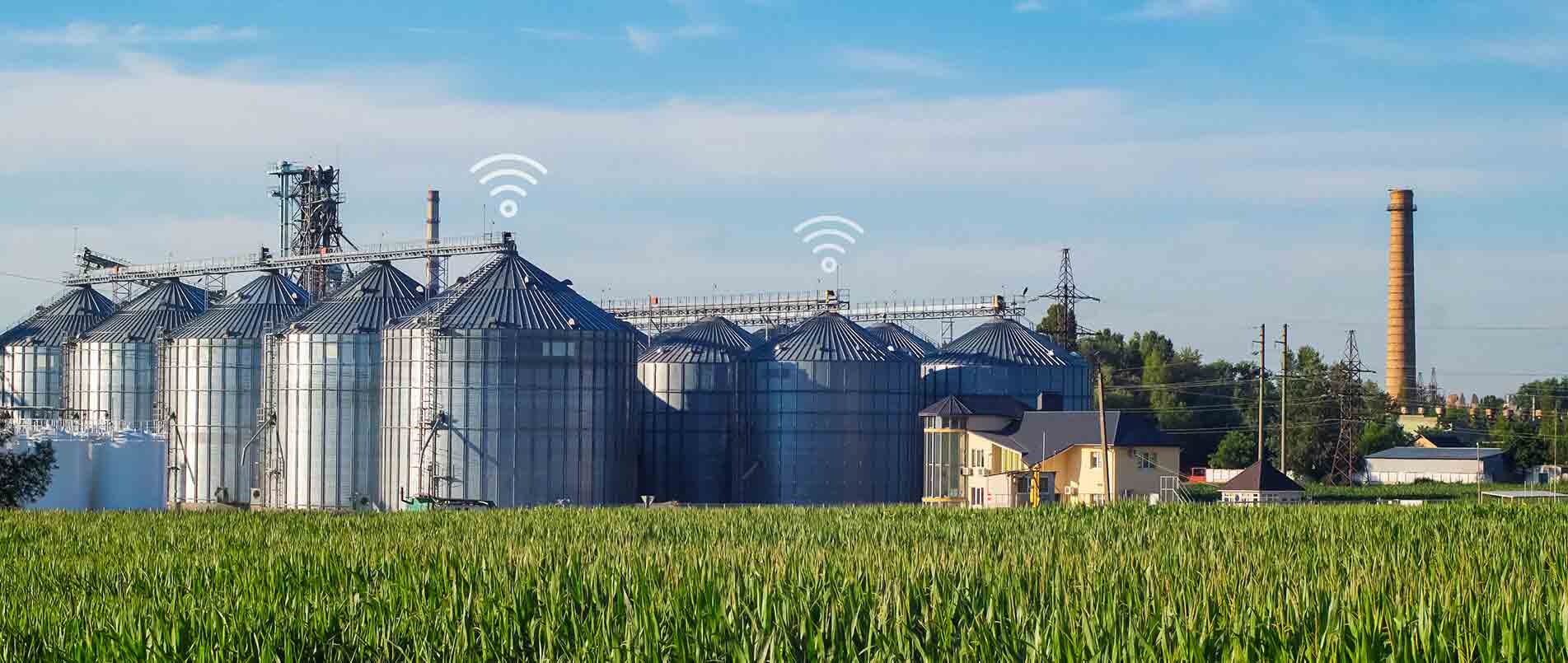 j9官网助力夏粮存储新招式，科技手段更有效