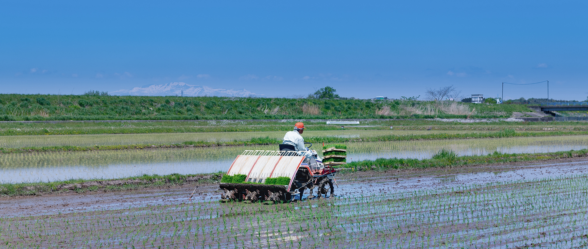 农机水田作业的“智慧大脑”——沃地泰FMA210，告别“经验种植”，开启精准高效农业之旅